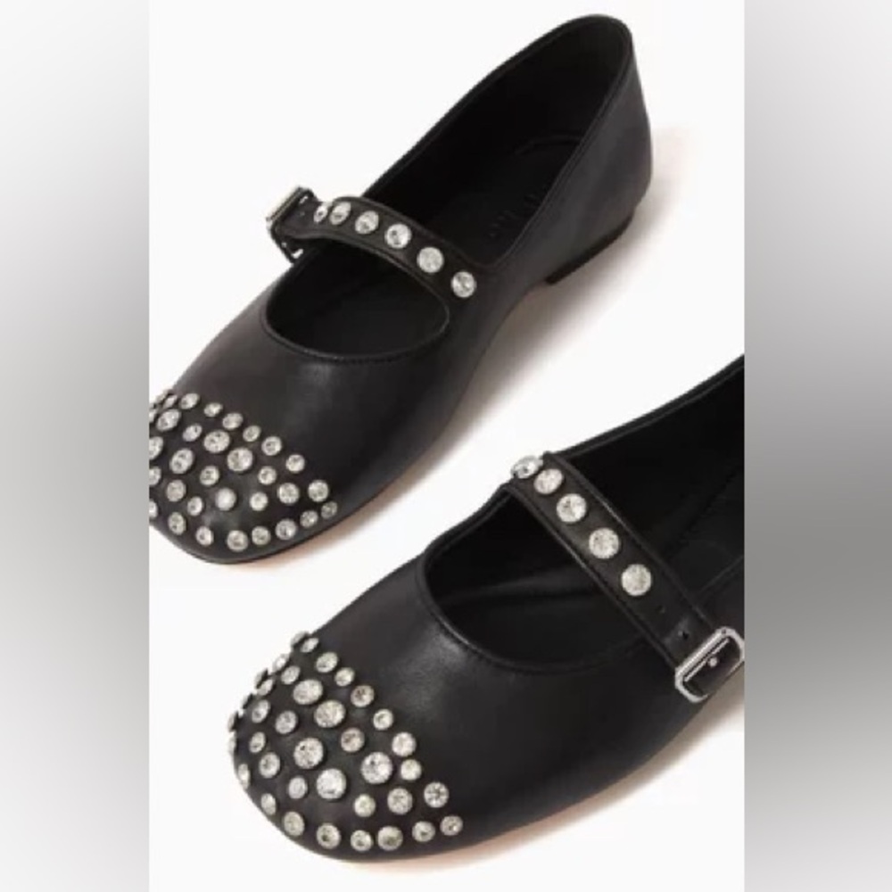 Salna Embellished Ballet Flats in Leather